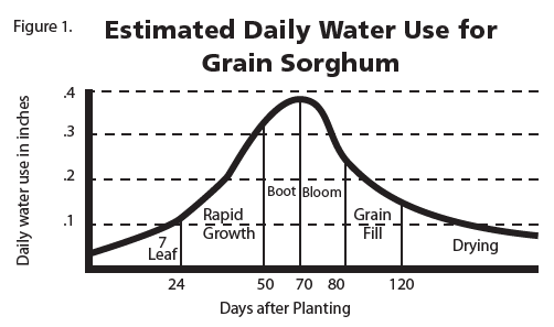 Figure 1png